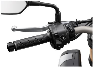 Heated Grips Kit