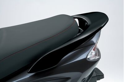 Pillion Grab Rail